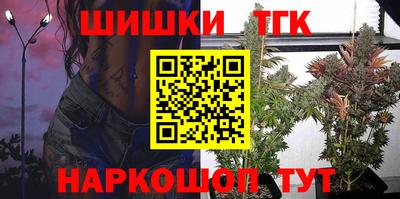 мдпв Ефремов