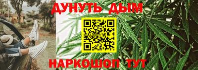 мдпв Ефремов