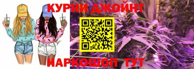 мдпв Ефремов