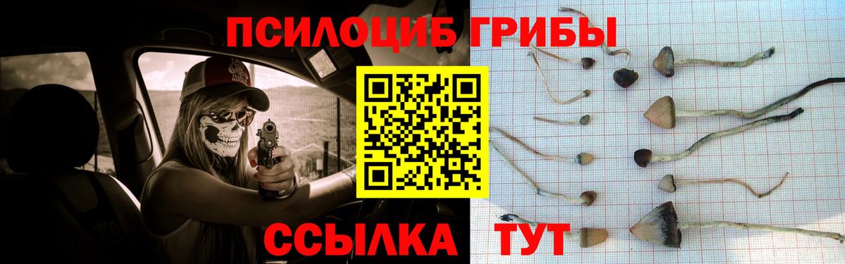 Белебей  Галлюциногенные грибы Psilocybe  Псилоцибиновые грибы прущие грибы  Вход с VPN 